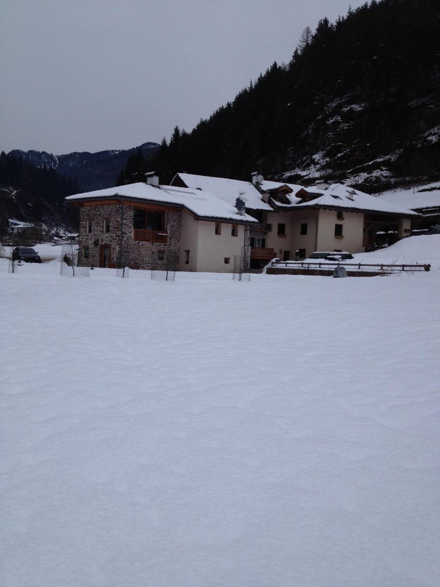 Maso Toneto Hotel Castello-Molina di Fiemme Luaran gambar